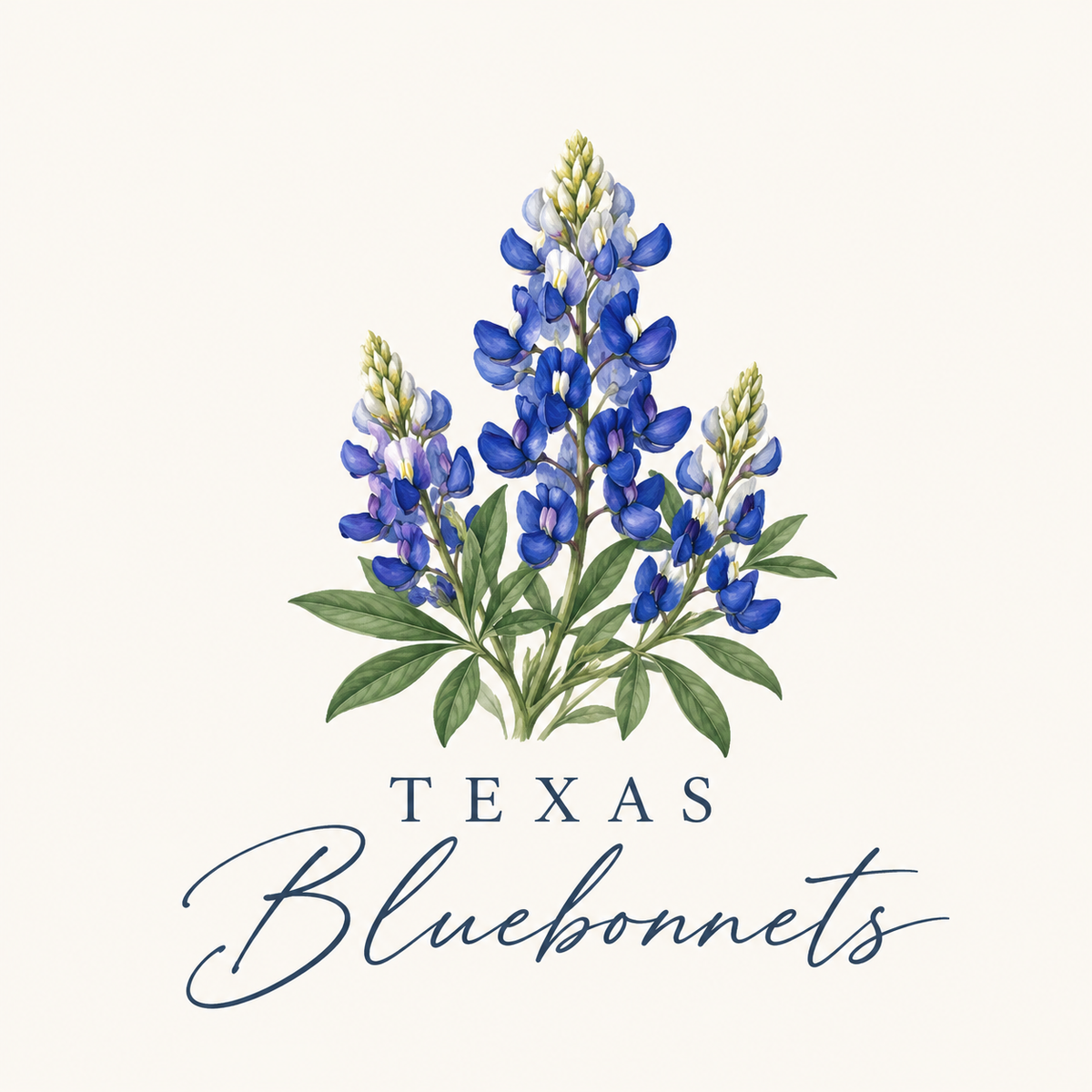 Texas Bluebonnets