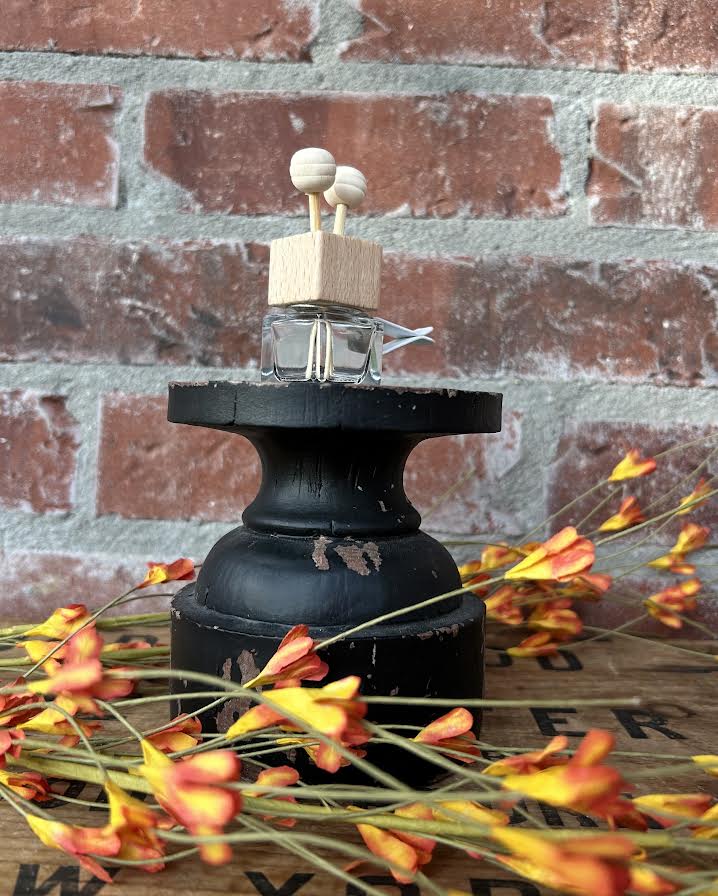 Vent Clip Car Diffuser – The Wandering Texan